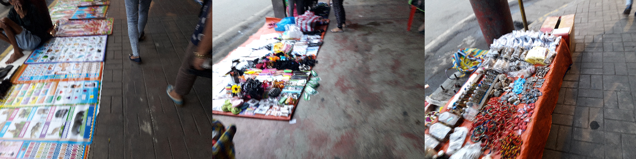 The Sidewalk Vendors