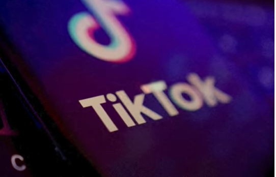 Why do World Governments Fear TikTok?