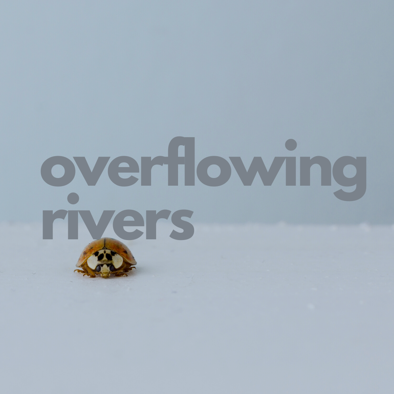 Overflowing Rivers