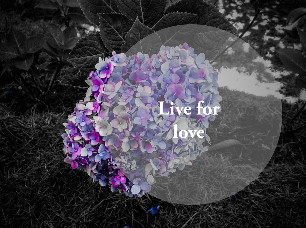 Live For Love