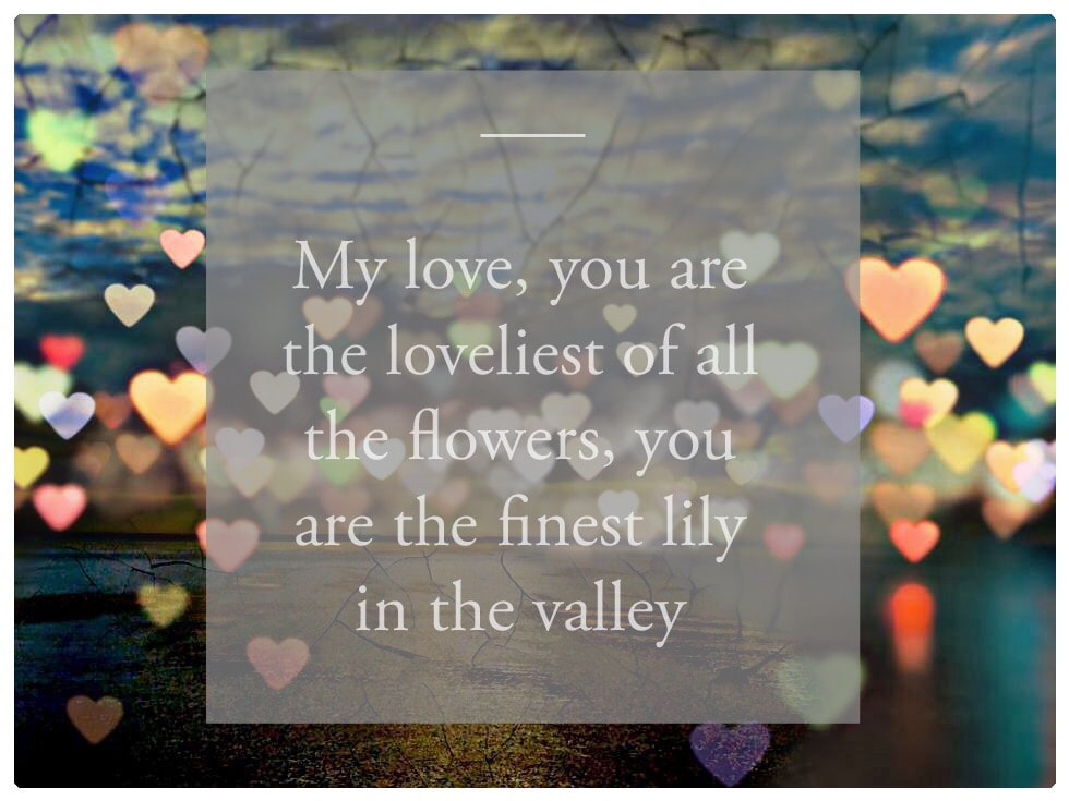 Love Notes - You Are The Loveliest Of All The Flowers And You Are The Finest Lily In The Valley