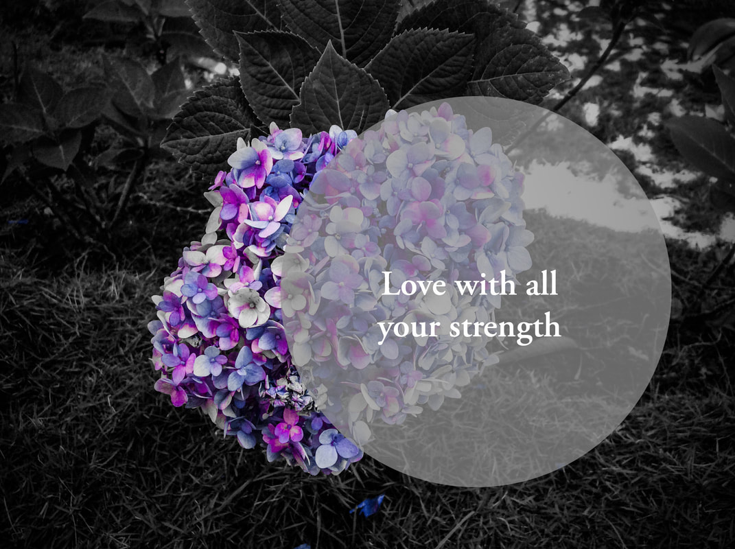Love With All Your Strength