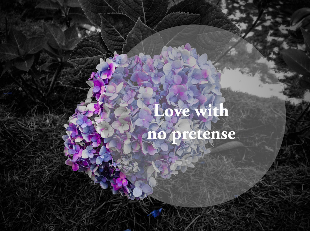 Love With No Pretense
