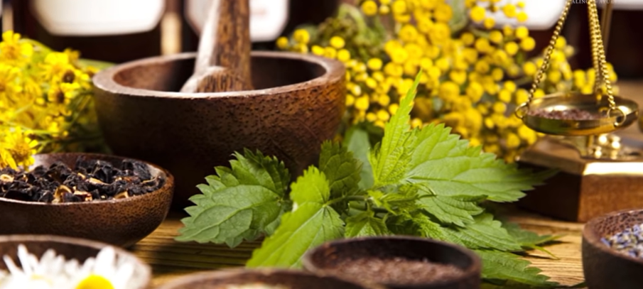 The Ancient Living Science of Ayurveda 