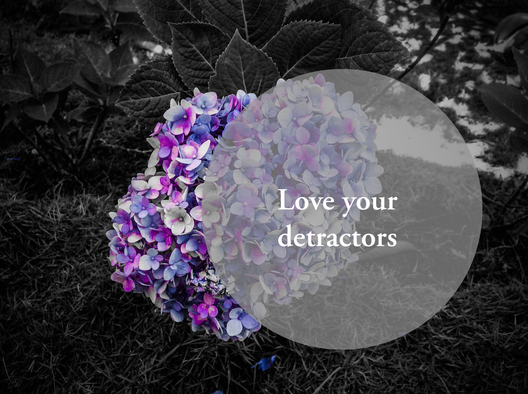 Love Your Detractors