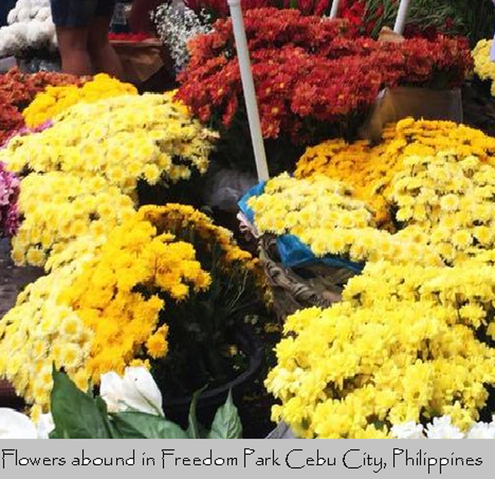 Flowers At The Freedom Park Cebu City