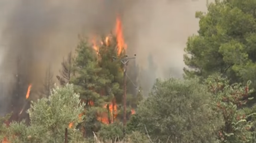 Multinational Task Force Battles Greek Wildfires
