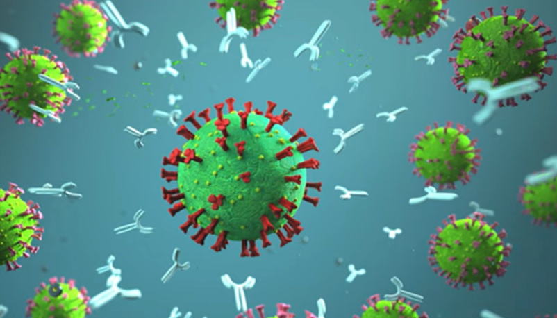 We May be Closer to Immunity to All Forms of the Coronavirus