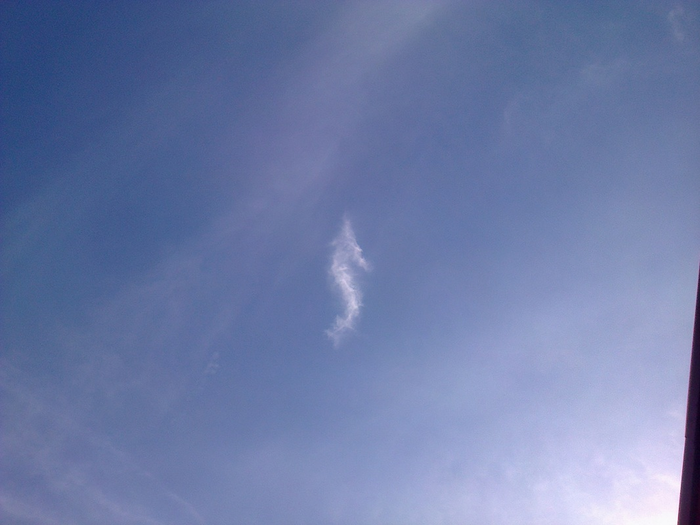 Seahorse-looking Cloud