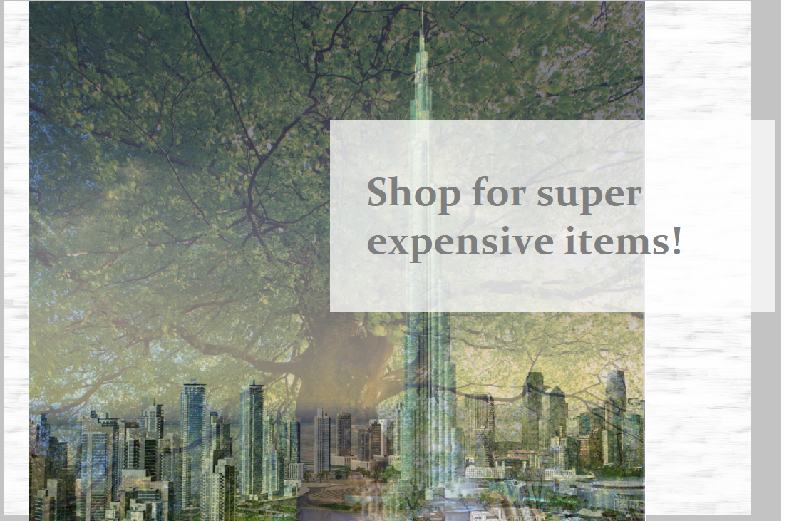 Super Expensive Items